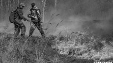 По площади лесных пожаров Новосибирская область занимает четвертое место среди субъектов Сибирского федерального округа. Фото: архив ИД «Советская Сибирь»