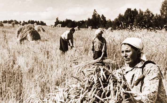 Если говорить о хлебозакупках, то сельхозартель «Красное знамя» продала государству 300 пудов зерна излишков.