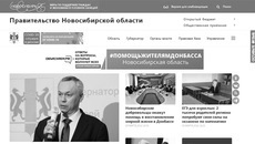 Точка входа на сайте правительства Новосибирской области (ссылка на красной плашке). Скриншот сайта nso.ru