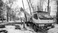 В апреле в Новосибирске началась подрезка деревьев — это тоже входит в планы депутатских наказов. Фото: Андрей Заржецкий