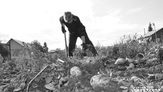 Фото: Юлия Назаренко