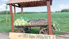 Продукция ООО «Дары Ордынска» сегодня есть на прилавках многих торговых сетей. Фото: архив ИД «Советская Сибирь»