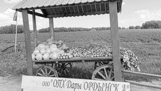 Продукция ООО «Дары Ордынска» сегодня есть на прилавках многих торговых сетей. Фото: архив ИД «Советская Сибирь»