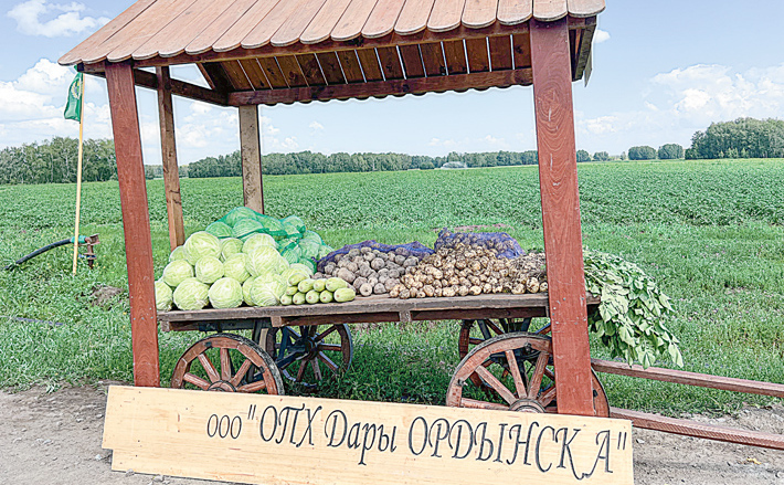 Продукция ООО «Дары Ордынска» сегодня есть на прилавках многих торговых сетей. Фото: архив ИД «Советская Сибирь»