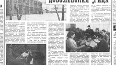 С 1966 до 1970 года в санатории-профилактории «Рица» Доволенского района, построенном для тех, кто живет и трудится на селе, отдохнули почти 2000 человек. /Фото: ngonb.ru