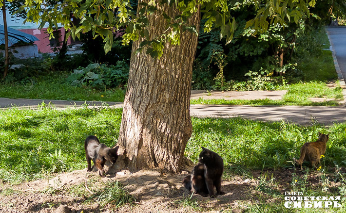 Фото: Андрей ЗАРЖЕЦКИЙ