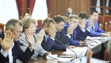Депутаты уверены: сельхозпроизводители и пчеловоды должны договариваться между собой и находить компромиссы — только таким путем можно будет избежать гибели пчел в будущем. Фото: Андрей Заржецкий
