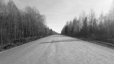 Фото: сайт правительства Новосибирской области nso.ru