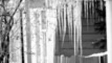 061-19.jpg