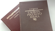 О чистоте русского языка давно говорят специалисты, уже и обычные граждане не сомневаются в необходимости защитить речь, чтобы не утратить способность понимать друг друга. Инициатива законодателя в этом свете выглядит вполне логичной, главное, чтобы она была эффективной. Фото: Александра Пыльникова