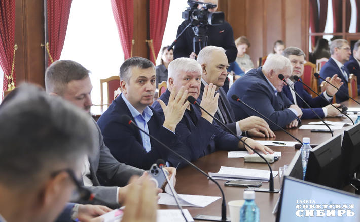 Принять меры по обеспечению безопасности детей на транспорте рекомендует Федерация. Парламенту региона инициативу озвучила Уполномоченный по правам ребенка Новосибирской области Надежда Болтенко. Фото: Андрей Заржецкий