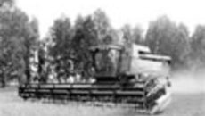 063-09.jpg