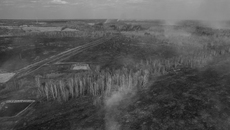 Вот так один случайно брошенный окурок может погубить целый лес. Фото: Сергей Ветров