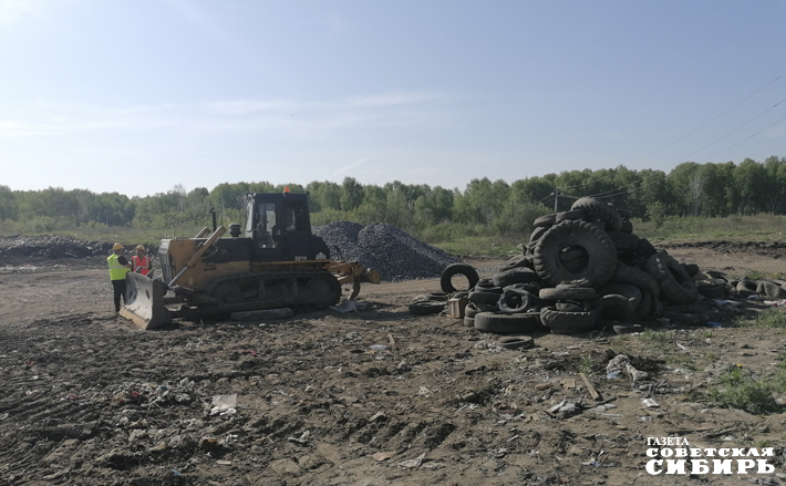 На пашинском мусорном полигоне сейчас вовсю кипит работа: с утра до вечера здесь трудится тяжелая техника, разгребая горы мусора, беспечно брошенные здесь безответственными людьми. Фото: Светлана Фролова