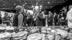 Фото: Ильнар Салахиев