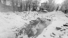 Фото: Андрей Заржецкий