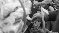 Традиционный зимой и один из самых любимых продуктов сибиряков — сало диетологи не советуют употреблять часто и много. Лучше сделать акцент на супах или, например, рыбе. И не забывать о зелени, наших сибирских овощах и, конечно, травяных чаях. Фото: архив ИД «Советская Сибирь»