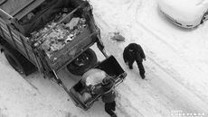 Фото: архив ИД «Советская Сибирь»
