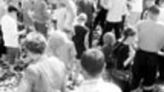 075-37.jpg