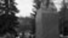 075-10.jpg