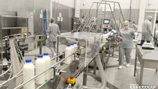 В строительство молокозавода инвестировали 1,2 миллиарда рублей. Его продукция будет реализовываться не только в Новосибирской области, но и в других регионах СФО. Фото: Алёна Коврова