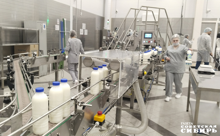 В строительство молокозавода инвестировали 1,2 миллиарда рублей. Его продукция будет реализовываться не только в Новосибирской области, но и в других регионах СФО. Фото: Алёна Коврова