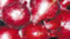 078-50.jpg