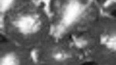 078-50.jpg