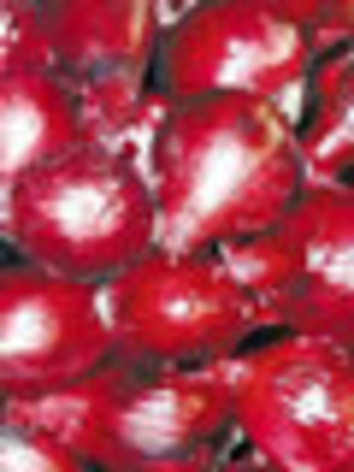 078-50.jpg