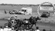Приз губернатора, новенькая «Нива», достался тройке рысаков хозяйства «Крутишинское», которая оказалась самой резвой. Фото: mcx.nso.ru