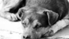 082-47.jpg