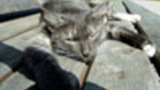 082-48.jpg