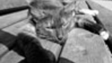 082-48.jpg