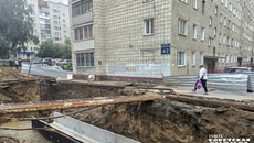 Этим летом новосибирцы вынуждены были ходить по своим родным дворам с особой осторожностью. Фото: Андрей Заржецкий