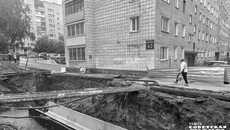 Этим летом новосибирцы вынуждены были ходить по своим родным дворам с особой осторожностью. Фото: Андрей Заржецкий