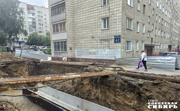 Этим летом новосибирцы вынуждены были ходить по своим родным дворам с особой осторожностью. Фото: Андрей Заржецкий