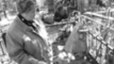 084-10.jpg