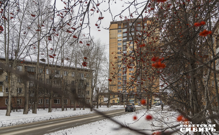 Фото: Андрей Заржецкий