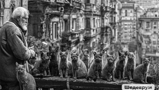Изображение сгенерировано нейросетью «Шедеврум»