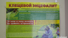 Фото: архив ИД «Советская Сибирь»