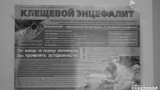 Фото: архив ИД «Советская Сибирь»