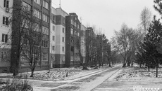 Фото: Андрей Заржецкий