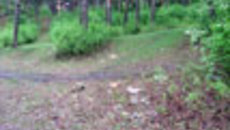 092-12.jpg