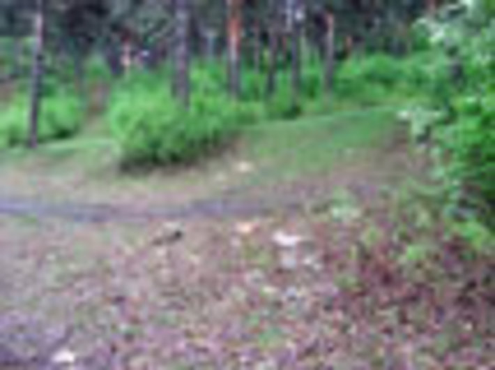 092-12.jpg