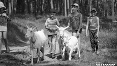 С каждым годом все больше набирает популярность сельский туризм. Фото: Андрей Заржецкий