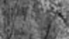 092-11.jpg
