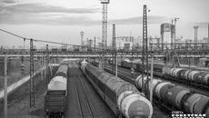 По состоянию на 3 июня 2025 года из региона вывезено 980,2 тысячи тонн продукции АПК — установленный целевой показатель на этот год выполнен на 50 процентов. За аналогичный период прошлого года экспортировано 762,0 тысячи тонн, прирост в 2025 году к 2024-му составляет 28,6 процента в физическом весе. Фото: Андрей Заржецкий