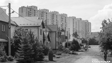 Фото: Андрей Заржецкий