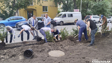 Кампания, развернутая против злостных нарушителей парковки, включает не только штрафы, но и создание как зеленых препятствий на пути, так и существенных бетонных преград. Фото: Алёна Коврова