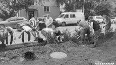 Кампания, развернутая против злостных нарушителей парковки, включает не только штрафы, но и создание как зеленых препятствий на пути, так и существенных бетонных преград. Фото: Алёна Коврова